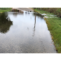 September high tide Virginia Beach image